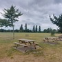Duke's Meadows