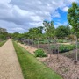 Kitchen Garden (Chiswick House & Gardens)