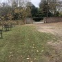 Cherry Orchard & Walled Garden (Chiswick House & Gardens)