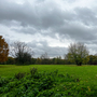Bedfords Park