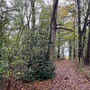 Havering Country Park