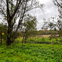 Havering Country Park