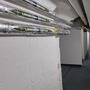 Subterranean basement network