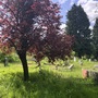 Bromley Hill Cemetery