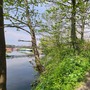 Ox Bow Island