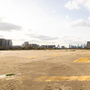 Dockside Wasteland in Royal Docks