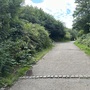 Lea Bridge Road Tunnel