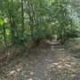 Cornmill Meadows & Wood
