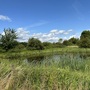 Cornmill Meadows & Wood