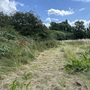 Britannia Meadows
