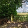 Hall Marsh Scrape