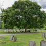 Surbiton Cemetery