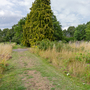 Kingston Cemetery and Crematorium