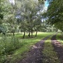 Controllable Roads & Tracks - Former Essex Mill & Factory Site