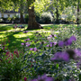 Russell Square Gardens