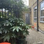Office Courtyard