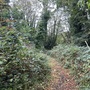 Crystal Palace Park - Secret Garden