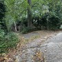 Crystal Palace Park - The Glades Woodland