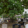 Croydon Cemetery