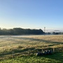 Sevenoaks Campsite & Meadow