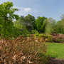 Lloyd Park
