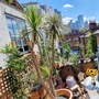Shoreditch Loft