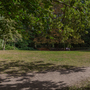 Holland Park - Woodland Area