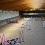 Martley Hall - Stud and Arena