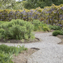 Fulham Palace - Walled Garden