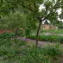 Chiswick House - Kitchen Garden