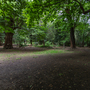 Chiswick House - Woodland