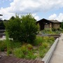 Norcross Library Box Garden