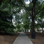 Thrasher Park