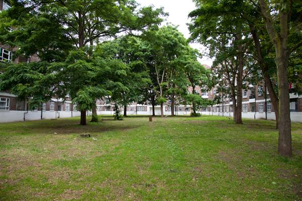 White City Estate