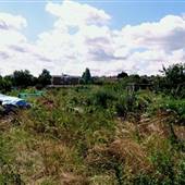 Lesney Farm Allotments