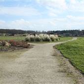 Richmal Crompton Fields