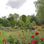 South Park - Flower Garden