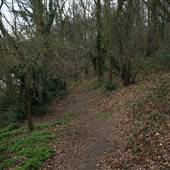 Amherst Wood Open Space