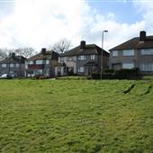Robin Hood Green