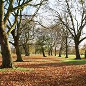 Hendon Park