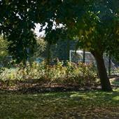 Whittington Park (and football pitch)