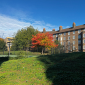 Friary Estate