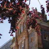 Former Redruth Library