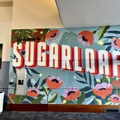 Sugarloaf Mills Mall