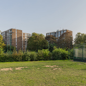 Holland Park - Cricket Nets