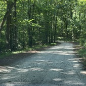 Rowen - Gravel/Dirt Roads