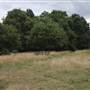 Streatham Common