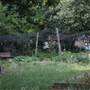Agnes Riley Gardens