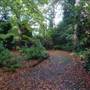 Coombe Wood Gardens