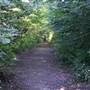 Croham Hurst